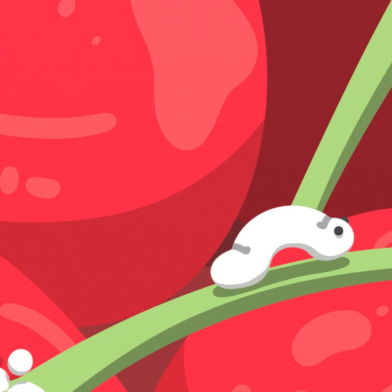 Verry Cherry — Archival matte paper